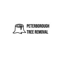 Peterborough Tree Removal image 1